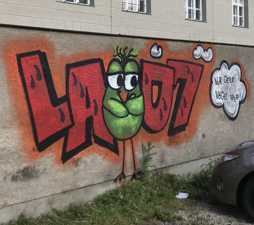 Nur geile Vögel hier !
